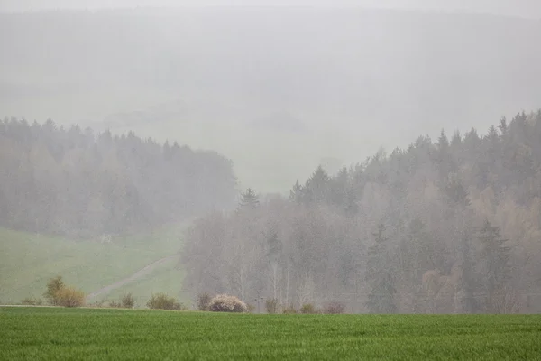 Paesaggio in primavera — Foto Stock