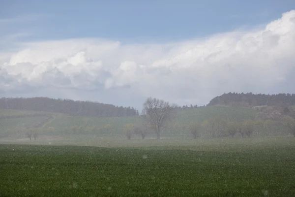 Landschap in het voorjaar van — Stockfoto