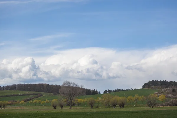 Paisagem na primavera — Fotografia de Stock