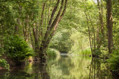 Spreewald bahar