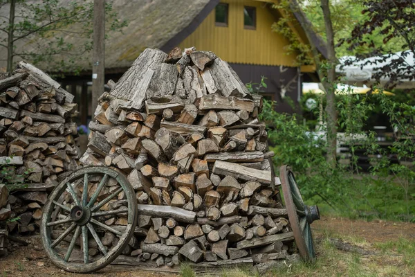 Spreewald in het voorjaar — Stockfoto