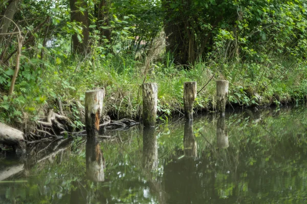 Spreewald en primavera — Foto de Stock