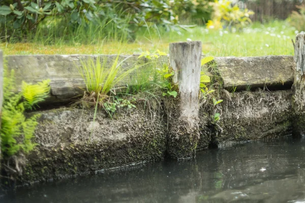 Spreewald en primavera — Foto de Stock