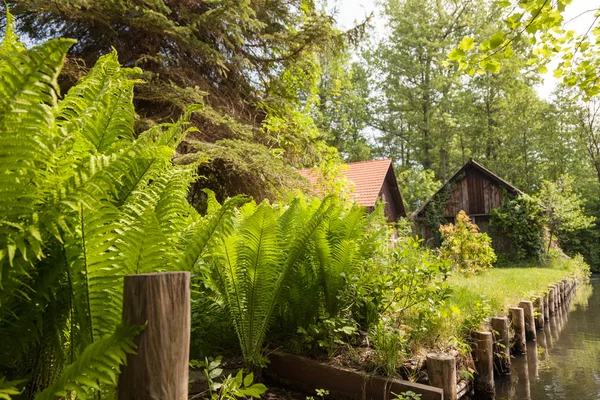 Spreewald na primavera — Fotografia de Stock