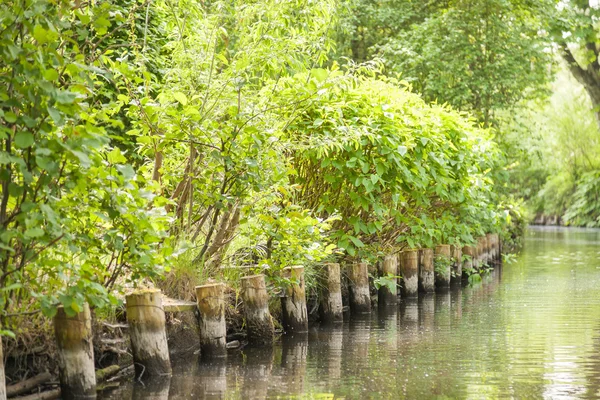 Spreewald en primavera — Foto de Stock