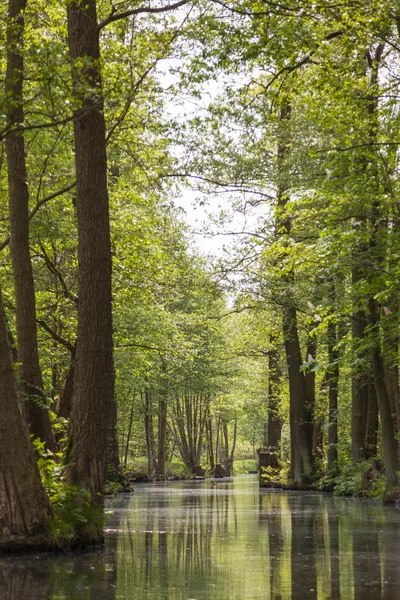 Spreewald bahar