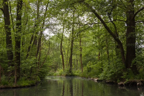 Spreewald bahar