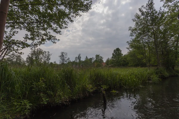 Spreewald na wiosnę — Zdjęcie stockowe