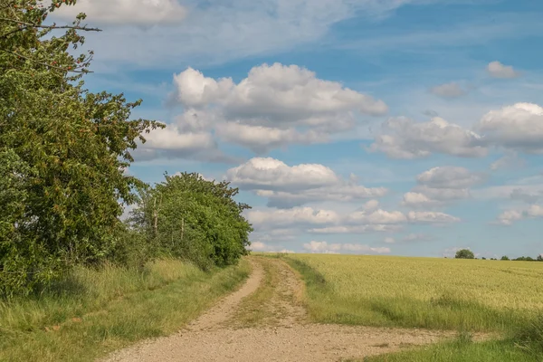 Paisagem na primavera — Fotografia de Stock