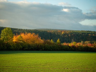 Renkli sonbahar renklerine sahip manzara