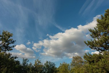 Renkli sonbahar renklerine sahip manzara