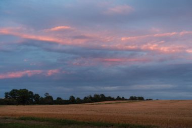 Renkli sonbahar renklerine sahip manzara