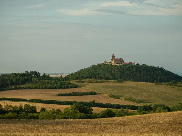 Des Trois Une Sorte — Photo