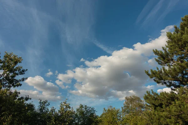 Paysage Aux Couleurs Automnales Colorées — Photo