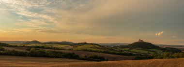 Türünün tek örneği.