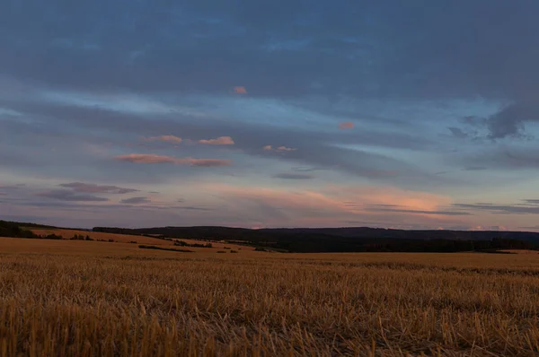 Grain Field Just Harvest — Stock Photo, Image