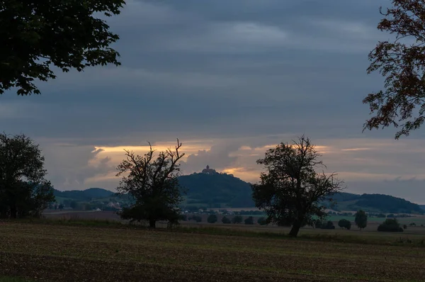 Einer Von Dreien — Stockfoto