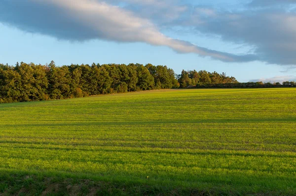 Paysage Aux Couleurs Automnales Colorées — Photo