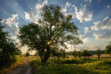 Renkli sonbahar renklerine sahip manzara