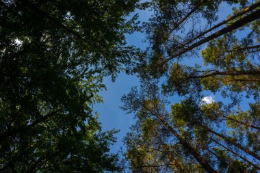 Renkli sonbahar renklerine sahip manzara