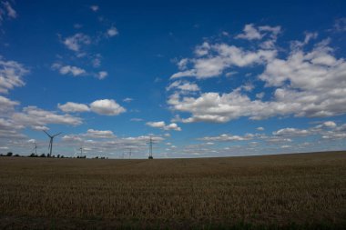 Hasattan hemen önce tahıl tarlası
