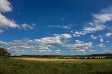 Renkli sonbahar renklerine sahip manzara