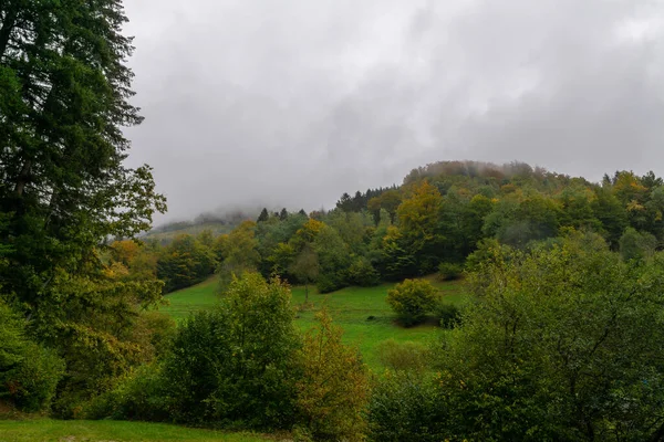 Jesienny Krajobraz Czarnym Lesie — Zdjęcie stockowe