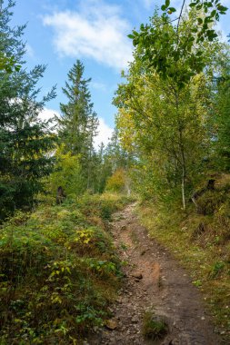 Kara Orman 'da sonbahar manzarası