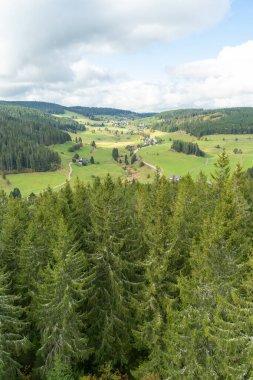Kara Orman 'da sonbahar manzarası