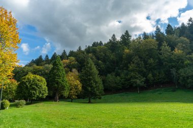 Kara Orman 'da sonbahar manzarası