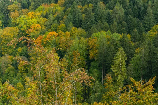 Осенний Пейзаж Шварцвальде — стоковое фото