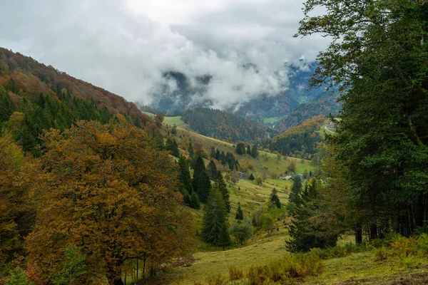 Höstlandskap Schwarzwald — Stockfoto