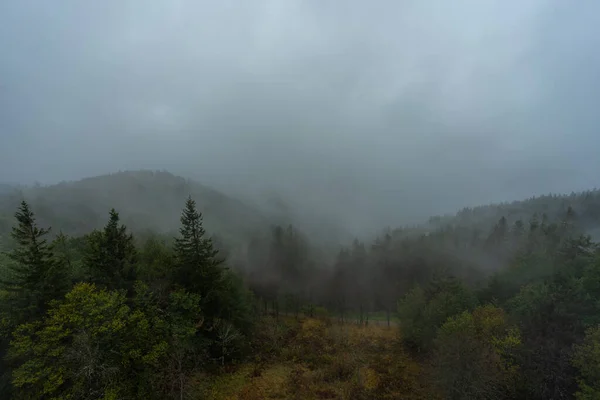 Höstdimma Schwarzwald — Stockfoto