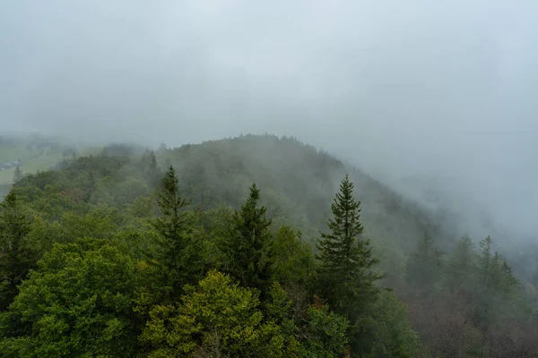 Höstdimma Schwarzwald — Stockfoto