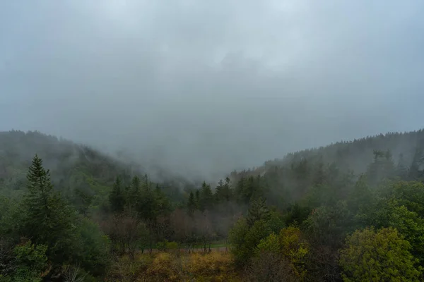 Höstdimma Schwarzwald — Stockfoto