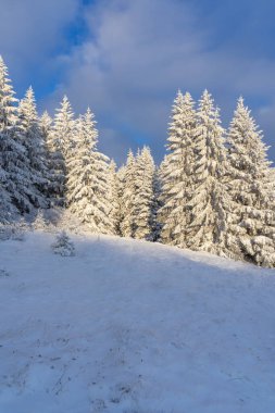 Thüringen 'de karlı kış manzarası