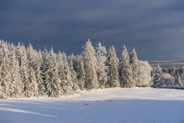 Thüringen 'de karlı kış manzarası
