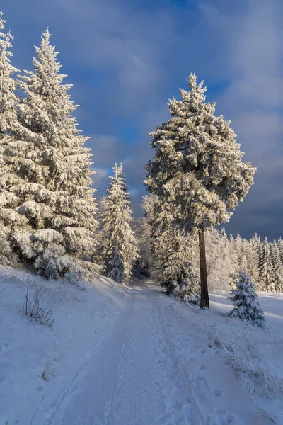 Snowy Winter Landscape Thuringia — Stock Photo, Image