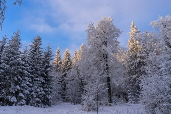 Sněžná Zimní Krajina Durynsku — Stock fotografie