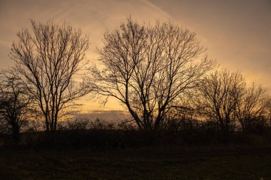 Güzel sonbahar havasında manzara