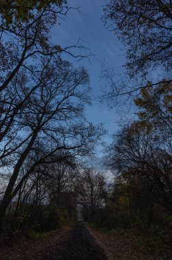 Güzel sonbahar havasında manzara