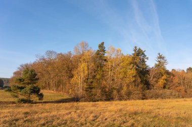 Güzel sonbahar havasında manzara