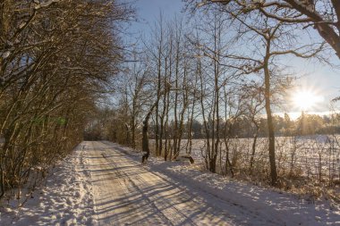Thüringen 'de karlı kış manzarası