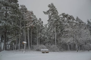Thüringen 'de karlı kış manzarası