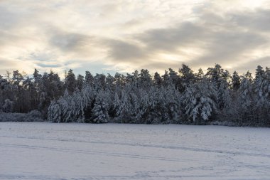 Thüringen 'de karlı kış manzarası