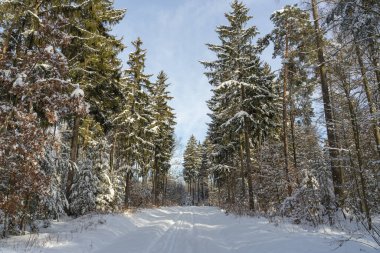 Thüringen 'de karlı kış manzarası