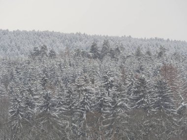Thüringen 'de karlı kış manzarası