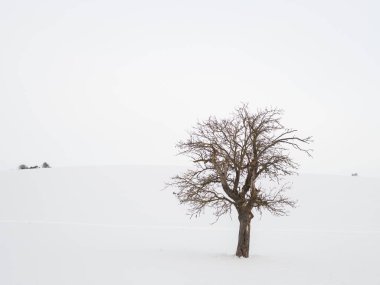 Thüringen 'de karlı kış manzarası