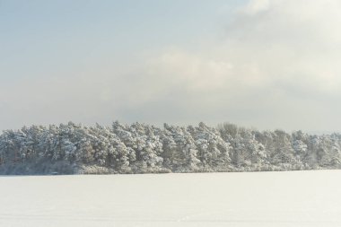 Thüringen 'de karlı kış manzarası