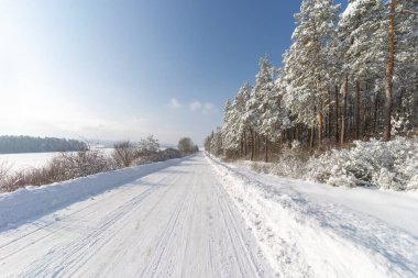 Thüringen 'de karlı kış manzarası